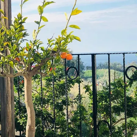 公寓 Seaview Esentepe Northern Cyprus *